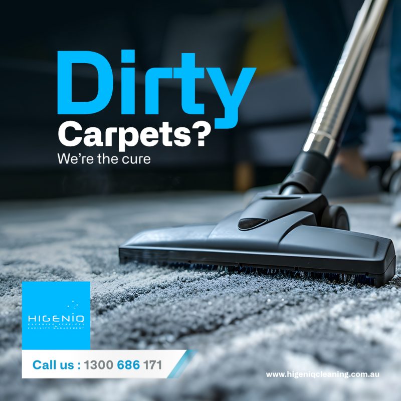 Carpet Steam Cleaning